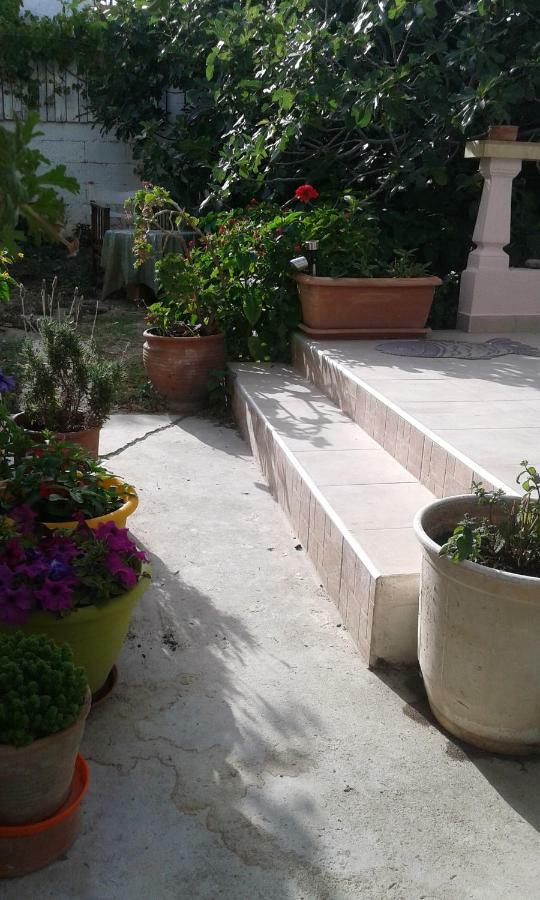 Αmmos Rooms Palaiochora Bagian luar foto