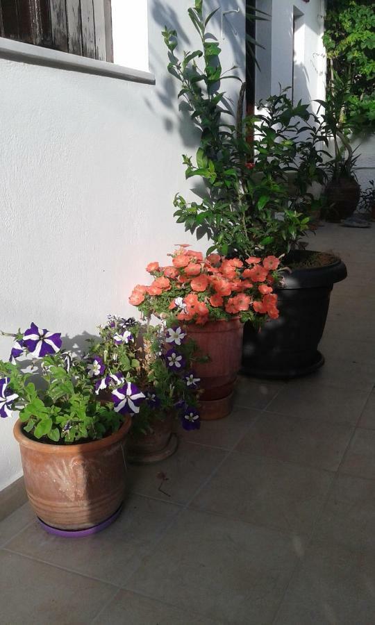 Αmmos Rooms Palaiochora Bagian luar foto